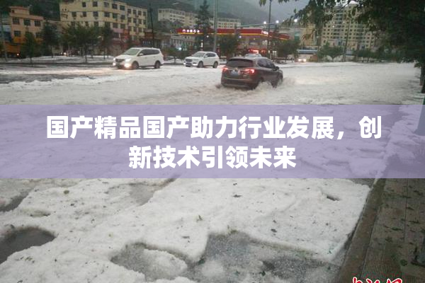 国产精品国产助力行业发展，创新技术引领未来