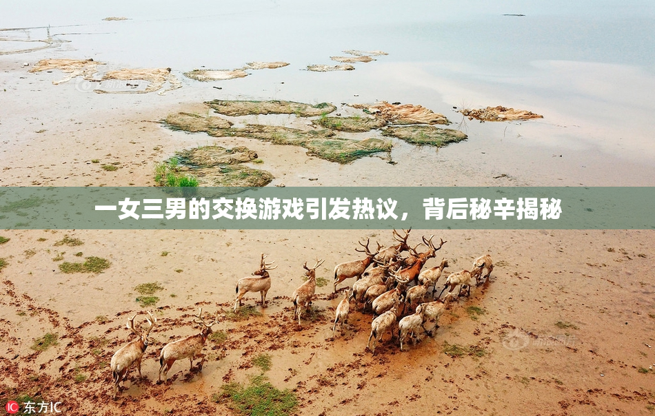 一女三男的交换游戏引发热议，背后秘辛揭秘