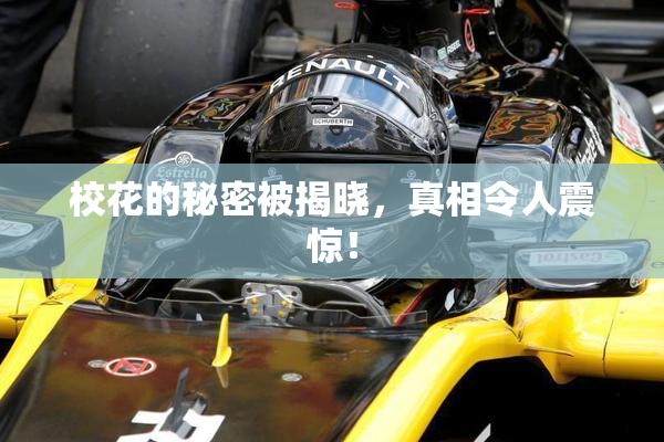 校花的秘密被揭晓，真相令人震惊！
