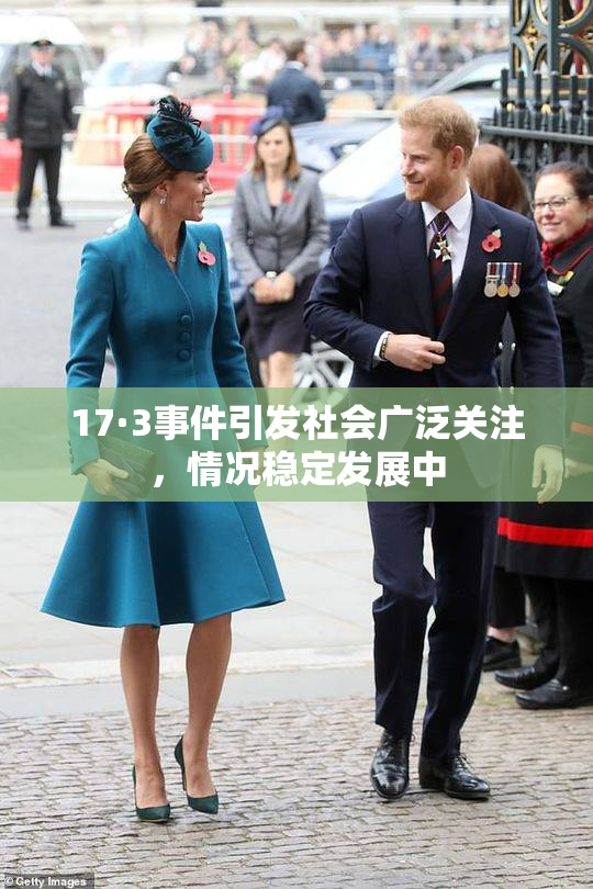 17·3事件引发社会广泛关注，情况稳定发展中