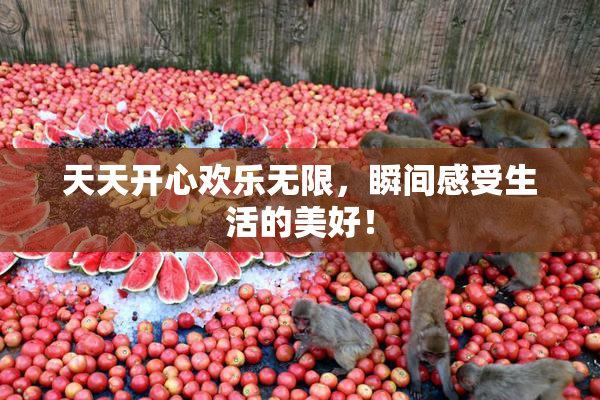 天天开心欢乐无限，瞬间感受生活的美好！