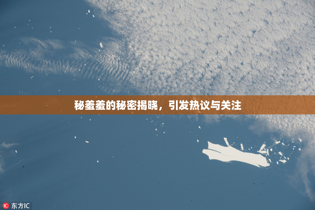 秘羞羞的秘密揭晓，引发热议与关注