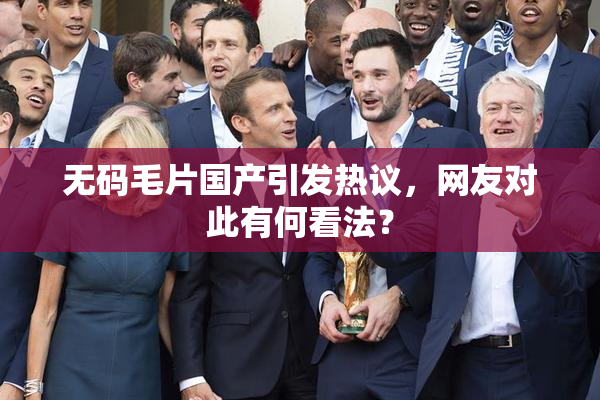 无码毛片国产引发热议，网友对此有何看法？
