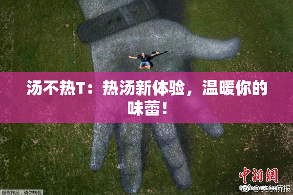 汤不热T：热汤新体验，温暖你的味蕾！