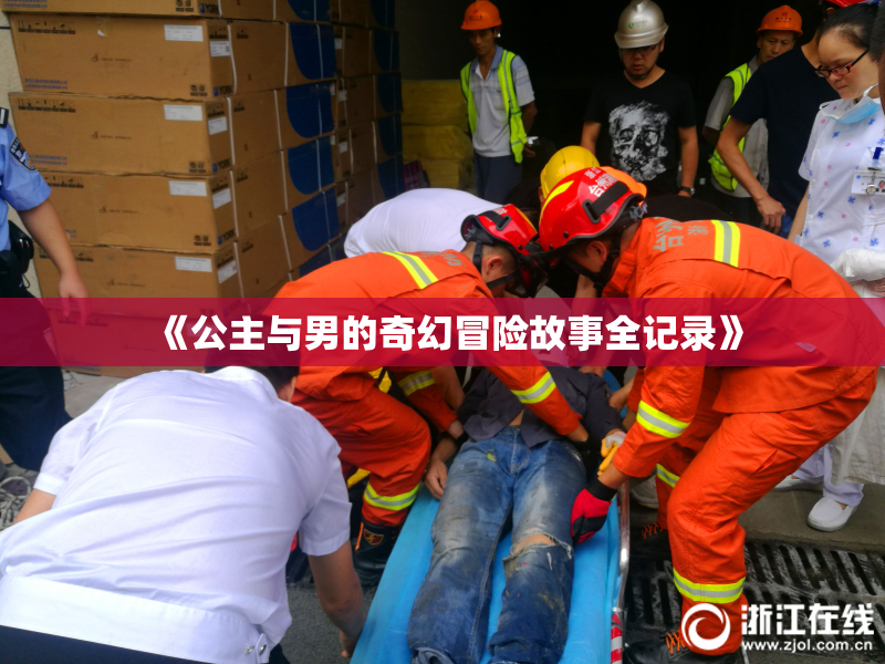 《公主与男的奇幻冒险故事全记录》