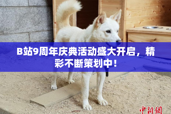 B站9周年庆典活动盛大开启，精彩不断策划中！
