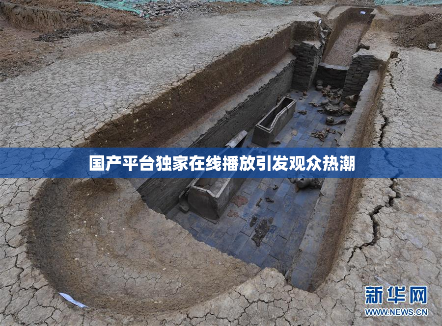 国产平台独家在线播放引发观众热潮