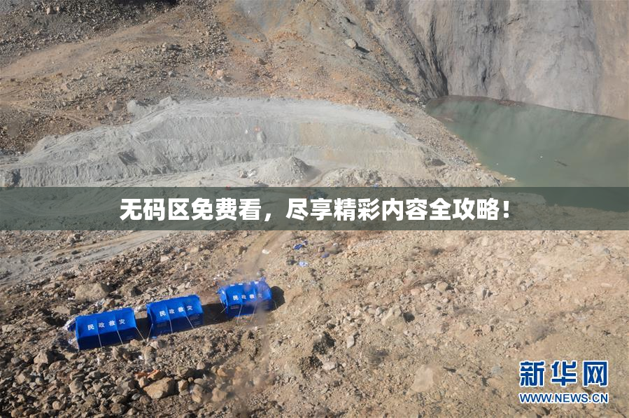 无码区免费看，尽享精彩内容全攻略！