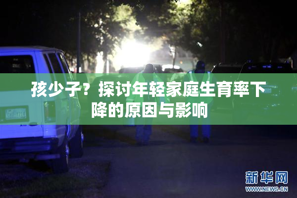 孩少子？探讨年轻家庭生育率下降的原因与影响