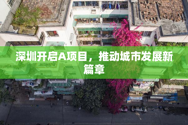 深圳开启A项目，推动城市发展新篇章