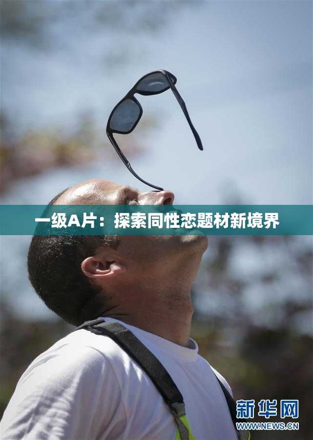 一级A片：探索同性恋题材新境界