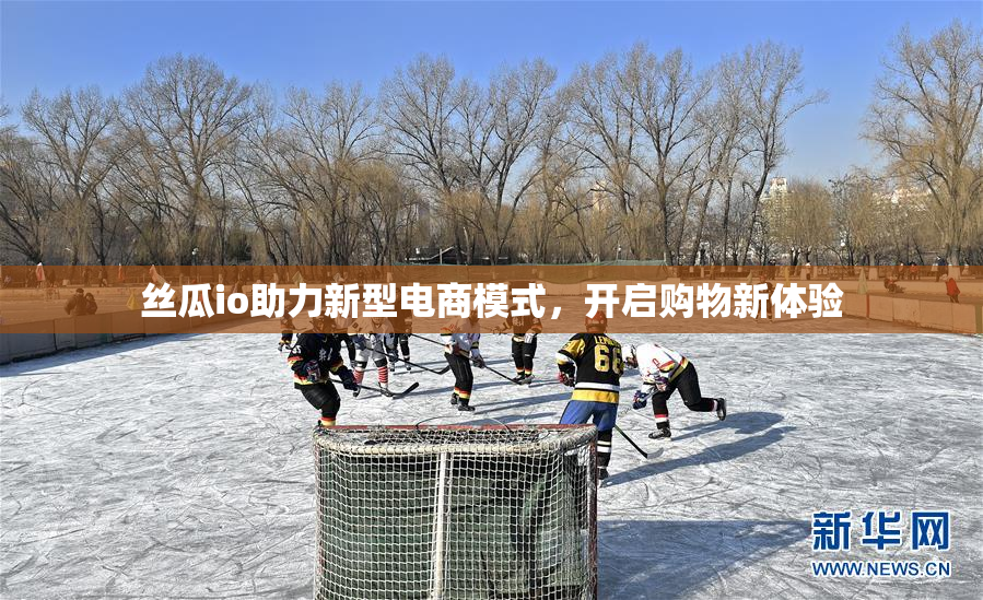 丝瓜io助力新型电商模式，开启购物新体验