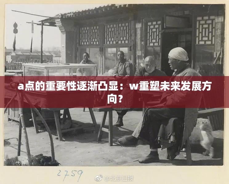 a点的重要性逐渐凸显：w重塑未来发展方向？