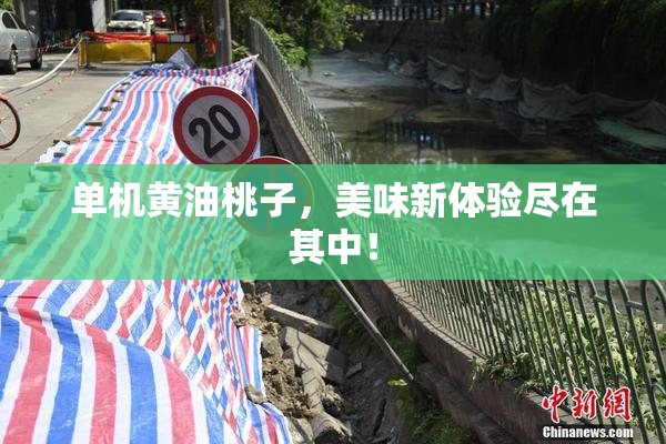 单机黄油桃子，美味新体验尽在其中！