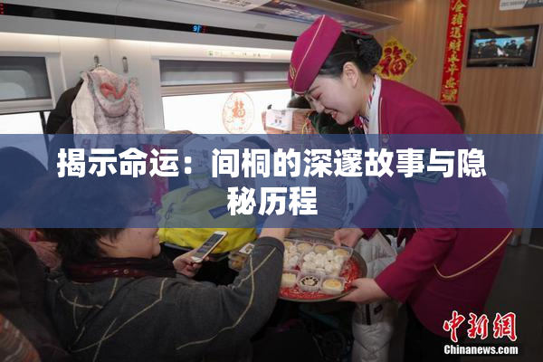 揭示命运：间桐的深邃故事与隐秘历程