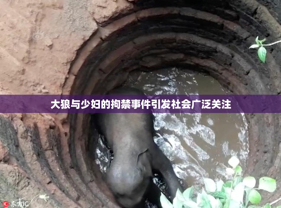大狼与少妇的拘禁事件引发社会广泛关注