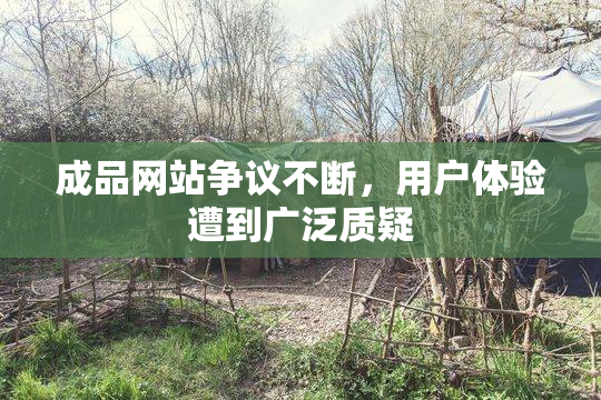 成品网站争议不断，用户体验遭到广泛质疑