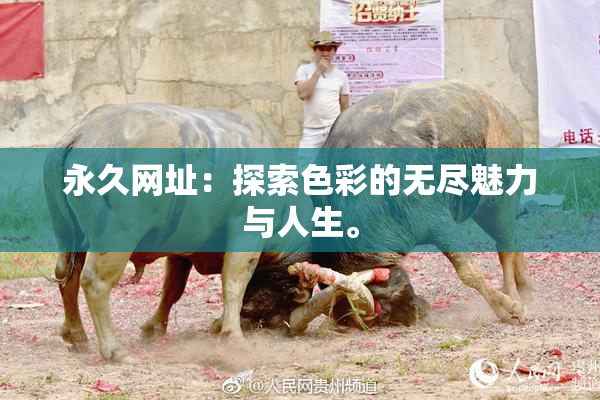 永久网址：探索色彩的无尽魅力与人生。