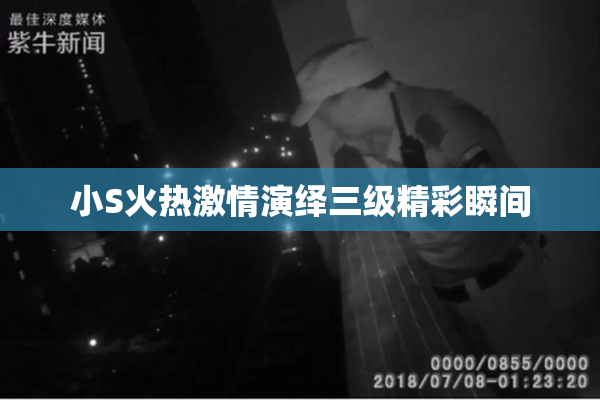 小S火热激情演绎三级精彩瞬间