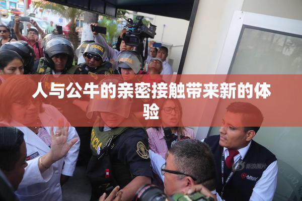 人与公牛的亲密接触带来新的体验