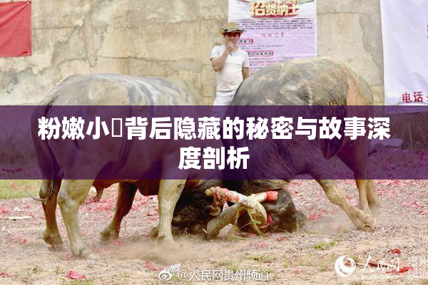 粉嫩小泬背后隐藏的秘密与故事深度剖析