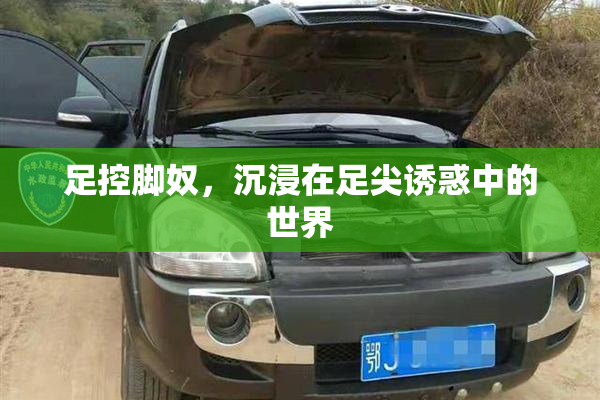 足控脚奴，沉浸在足尖诱惑中的世界