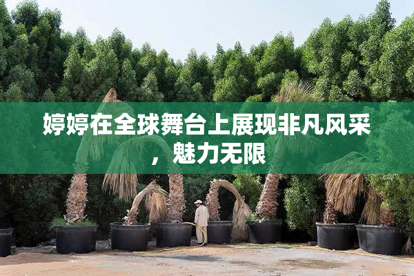 婷婷在全球舞台上展现非凡风采，魅力无限