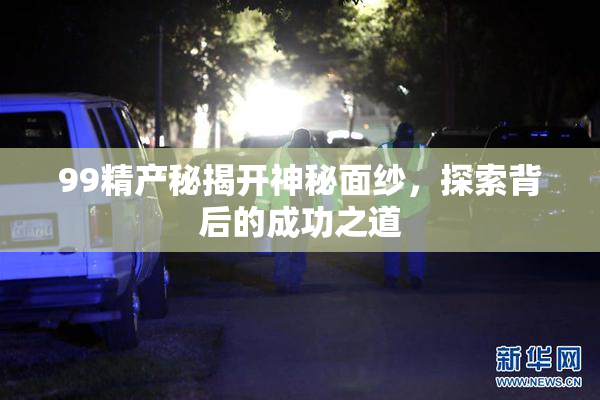 99精产秘揭开神秘面纱，探索背后的成功之道