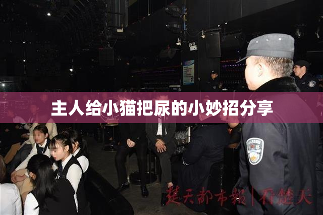 主人给小猫把尿的小妙招分享
