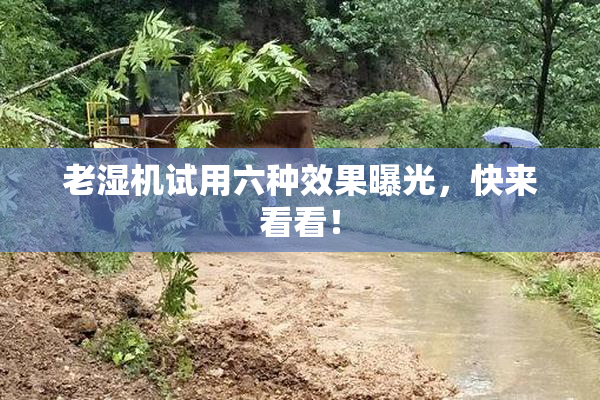 老湿机试用六种效果曝光，快来看看！