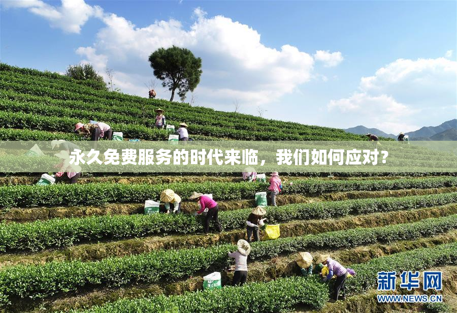 永久免费服务的时代来临，我们如何应对？