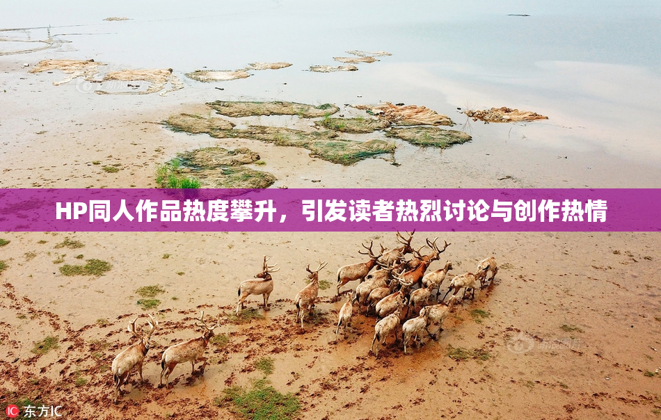 HP同人作品热度攀升，引发读者热烈讨论与创作热情