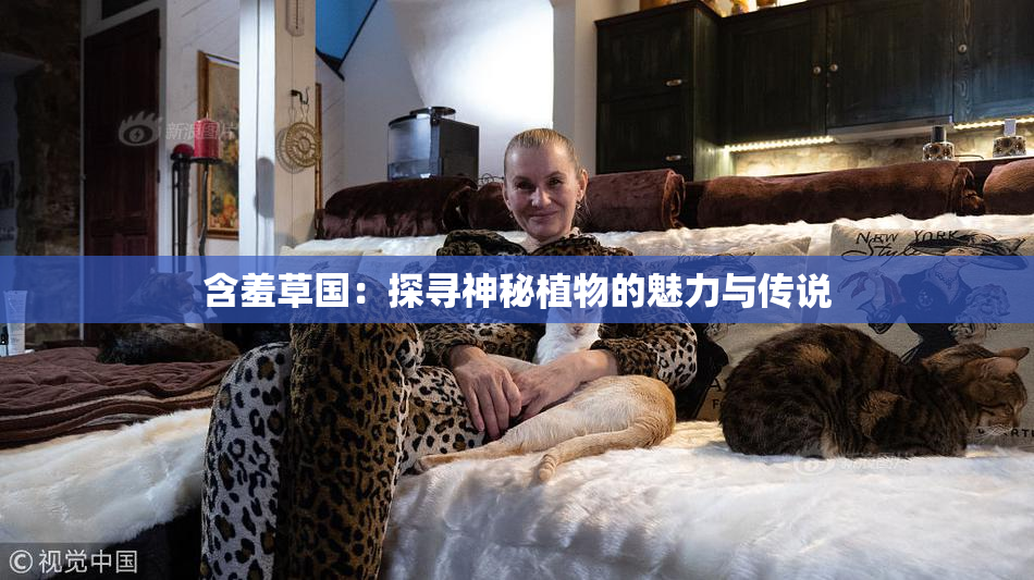 含羞草国：探寻神秘植物的魅力与传说