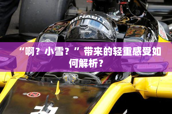 “啊？小雪？”带来的轻重感受如何解析？