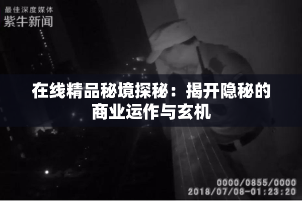 在线精品秘境探秘：揭开隐秘的商业运作与玄机