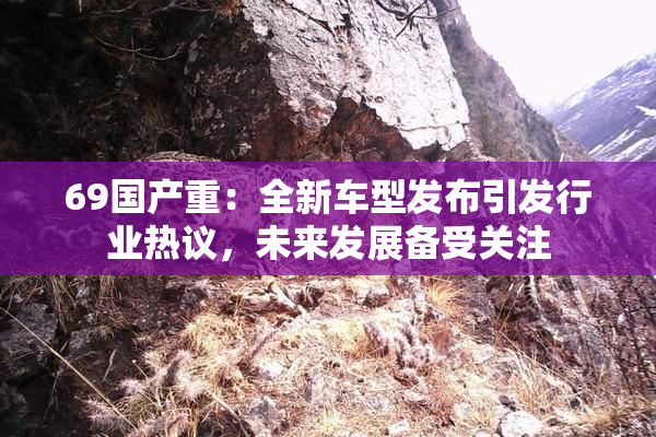 69国产重：全新车型发布引发行业热议，未来发展备受关注