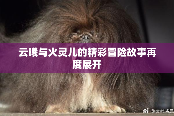 云曦与火灵儿的精彩冒险故事再度展开