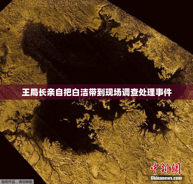 王局长亲自把白洁带到现场调查处理事件