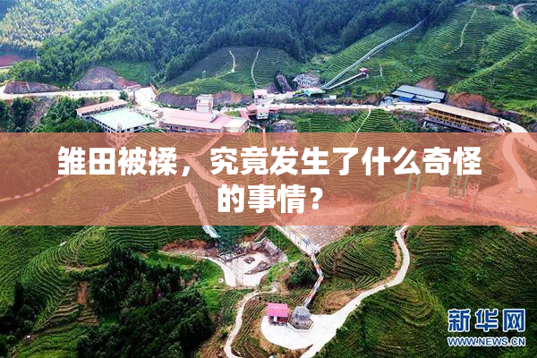雏田被揉，究竟发生了什么奇怪的事情？