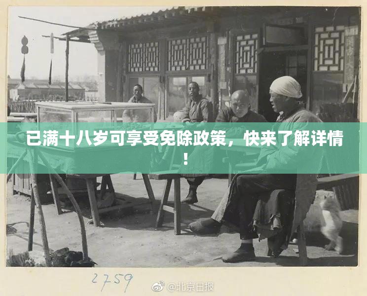 已满十八岁可享受免除政策，快来了解详情！