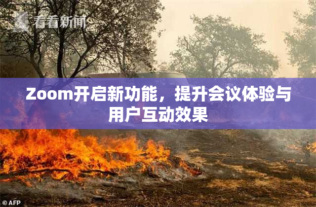 Zoom开启新功能，提升会议体验与用户互动效果