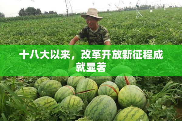 十八大以来，改革开放新征程成就显著