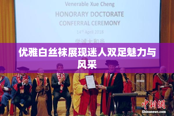 优雅白丝袜展现迷人双足魅力与风采