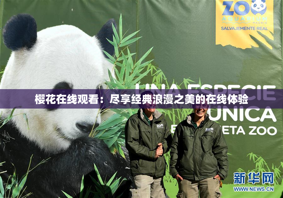 樱花在线观看：尽享经典浪漫之美的在线体验
