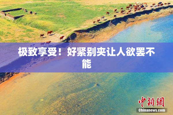 极致享受！好紧别夹让人欲罢不能