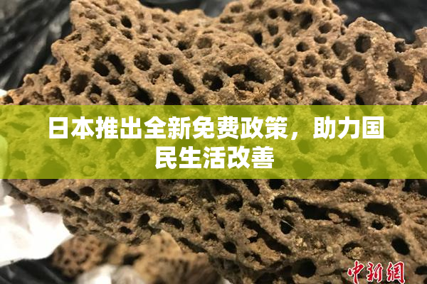 日本推出全新免费政策，助力国民生活改善
