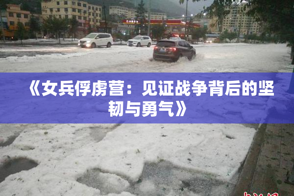 《女兵俘虏营：见证战争背后的坚韧与勇气》