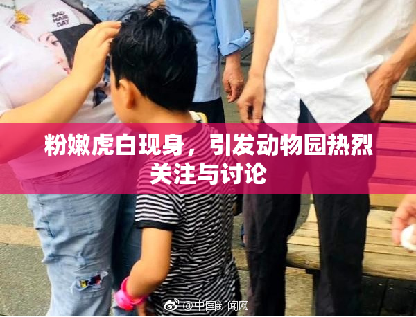 粉嫩虎白现身，引发动物园热烈关注与讨论