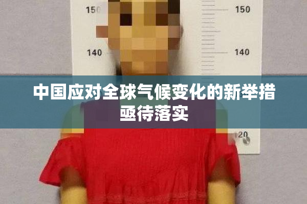 中国应对全球气候变化的新举措亟待落实