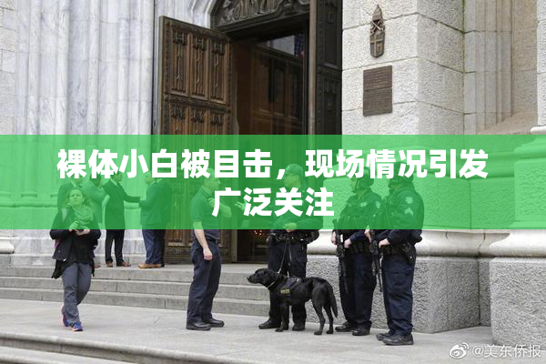 裸体小白被目击，现场情况引发广泛关注